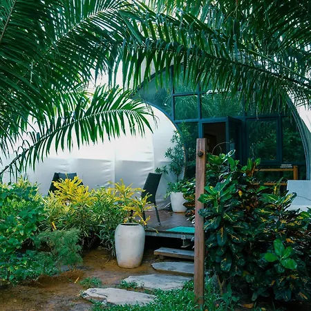 Nacpan Beach Glamping Managed By H Hospitality Group - Newly Renovated-2