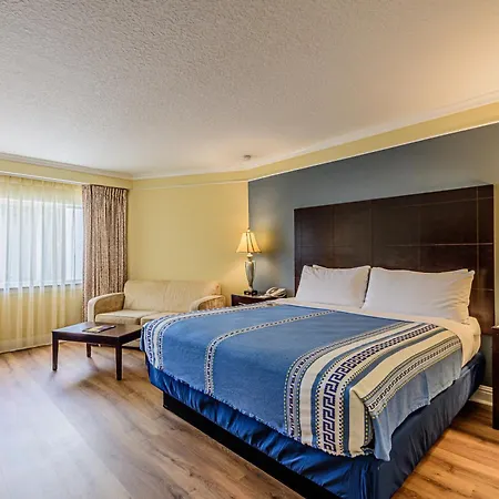 Safety Harbor Resort & Spa Trademark Collection By Wyndham-3