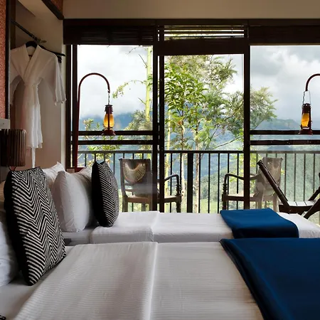 Madulkelle Tea And Eco Lodge-2