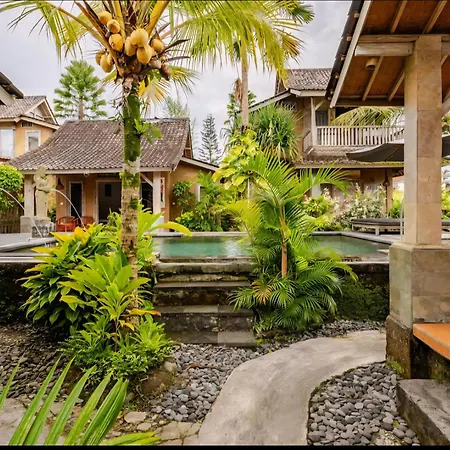 Ananda Jj Ubud Resort & Spa-3
