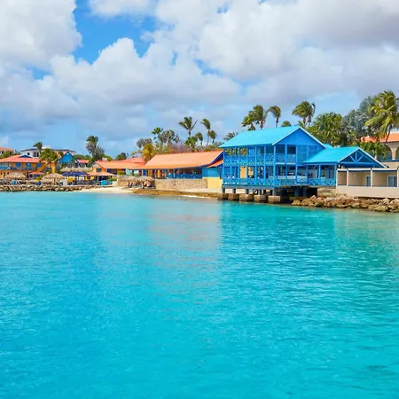 Divi Flamingo Beach Resort-2