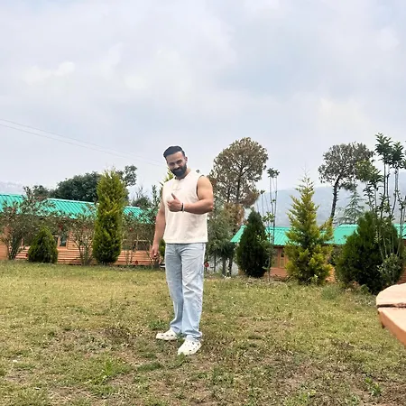 Golden Valley Cottages, Chail-3
