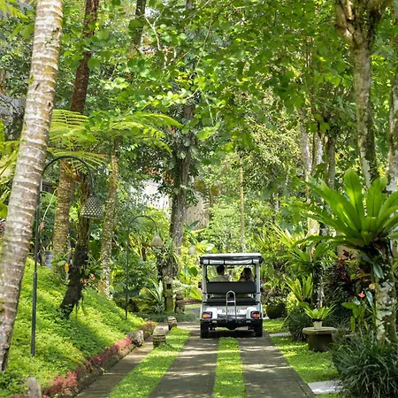 The Lokha Ubud Resort, Villas & Spa-3