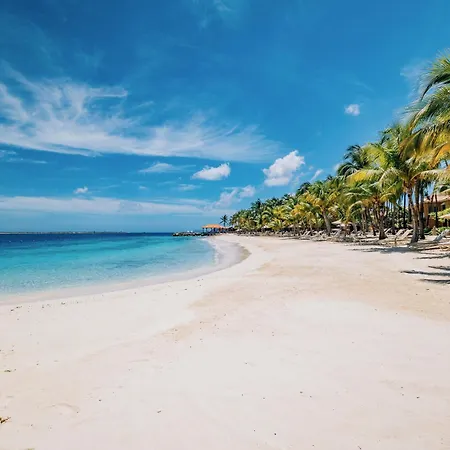 Harbour Village Beach Club-3