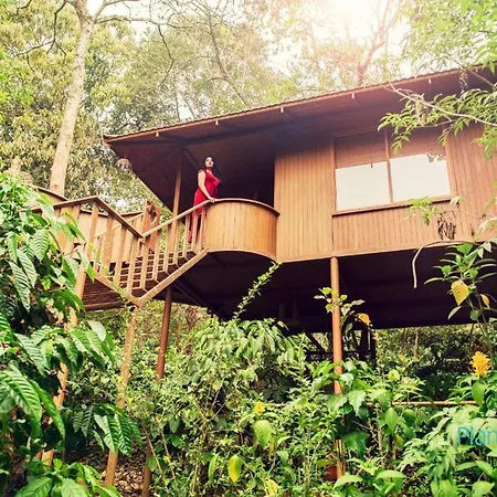 Planet Green Plantation Resorts, Wayanad, Kerala-2