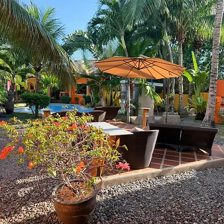 Alona'S Coral Garden Resort (Adults Only)-3