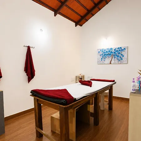 The Blossom Resort - Chikmagalur-3
