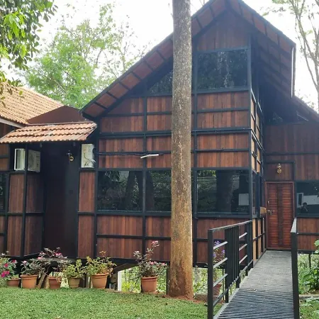 Tree House Wayanad-3