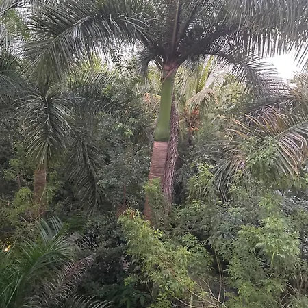 Vidanta Riviera Maya-2