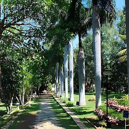 Pragati Green Meadows And Resort-3