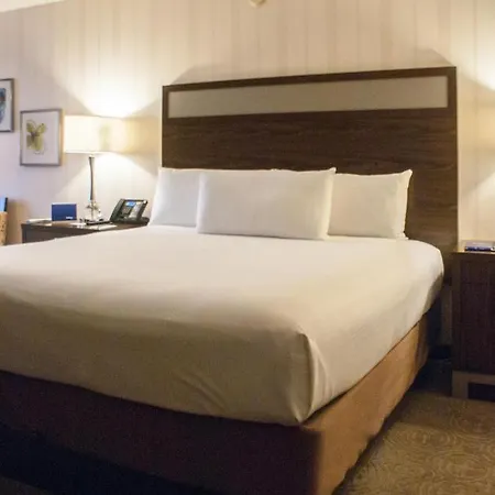 Gold Coast Hotel And Casino-3
