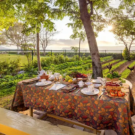 Ramgarh Lodge, Jaipur - Ihcl Seleqtions-3