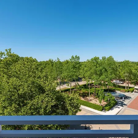 Hyatt Regency Chesapeake Bay Golf Resort, Spa & Marina-3