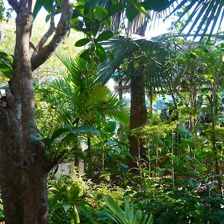 Vela Phu Quoc Resort-2