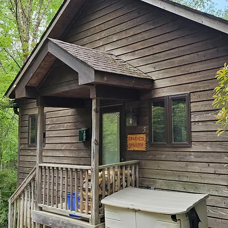 Asheville Cabins Of Willow Winds-3