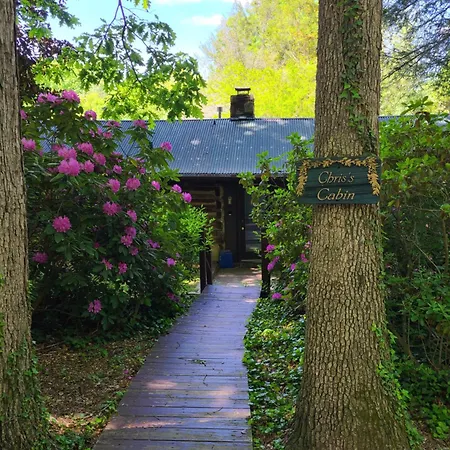 Asheville Cabins Of Willow Winds-2