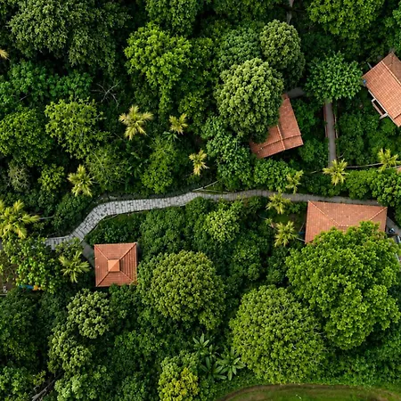 Hill Crest Resort - Coorg-3