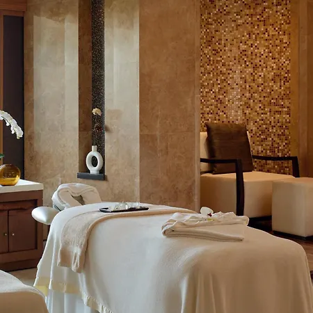 Melia Desert Palm Member Of Melia Collection-3