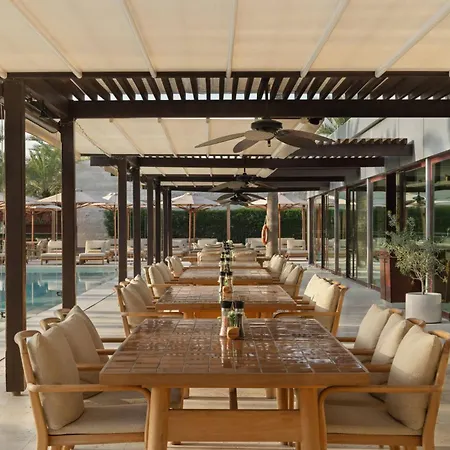Melia Desert Palm Member Of Melia Collection-3