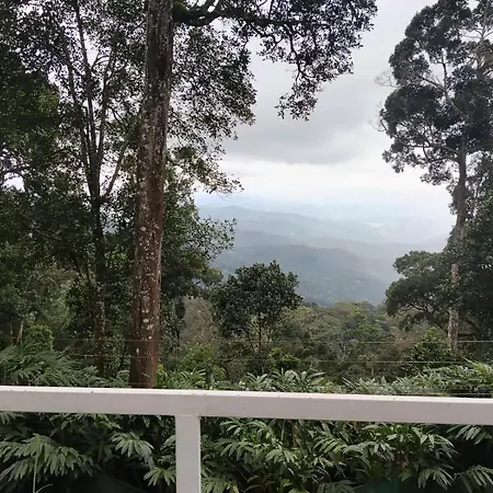 Violet Woods-The Infinity Pool Resort-2