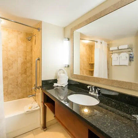 Holiday Inn Resort Orlando - Lake Buena Vista By Ihg-3