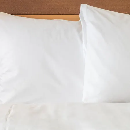 Holiday Inn Club Vacations - Orlando Breeze Resort-2