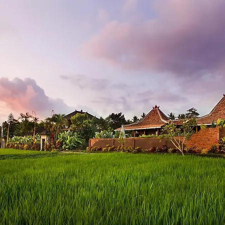 Naya Ubud-2