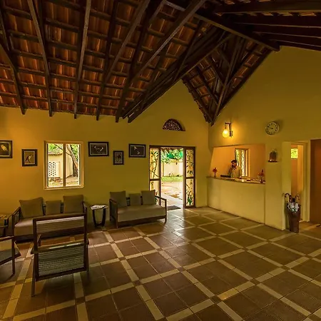 The Windflower Jungle Resort & Spa, Bandipur-3