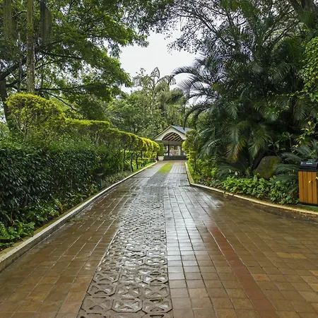The Windflower Resort & Spa, Coorg-2