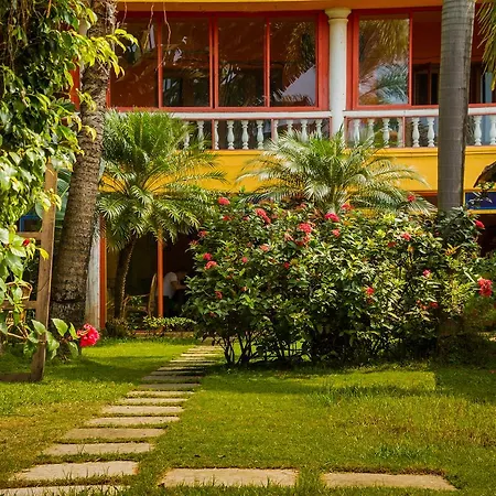 Papa Jolly Eco Resort-Near Morjim Beach-2