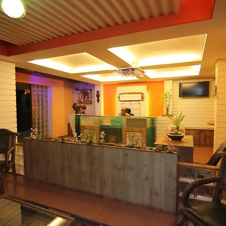 Mount View Executive-3