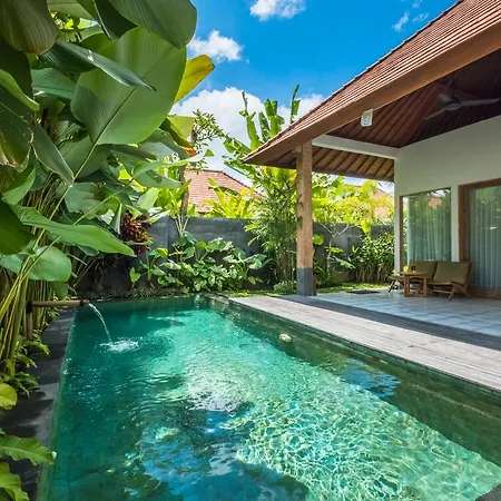 Purana Boutique Resort-2