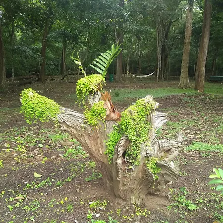 Ktdc Periyar House-3