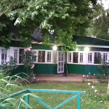 The Nigeen Lodge-2