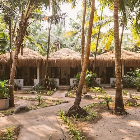 Palm Grove Beach Resort-2