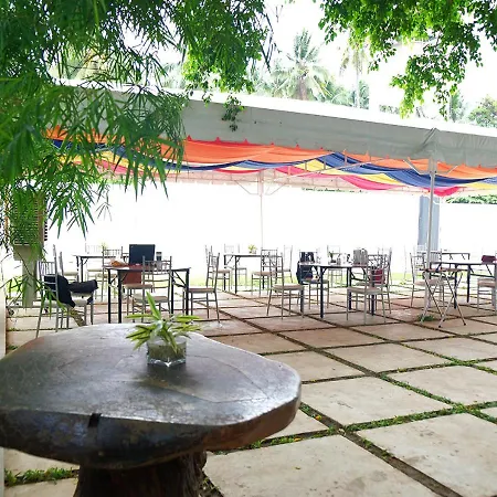 Maayo Argao-2
