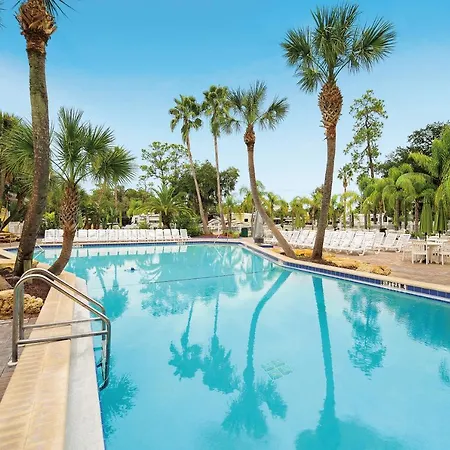 Tropical Palms Resort-3