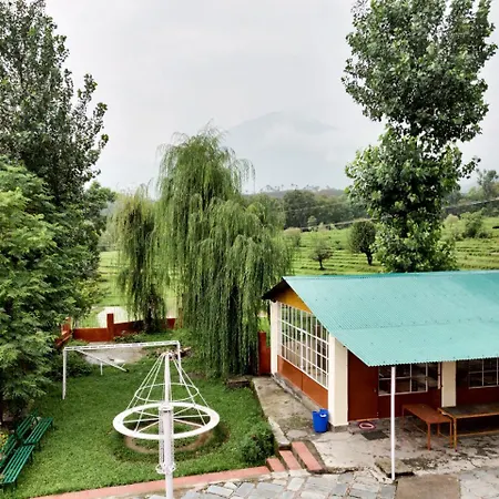 Pops Resort-2