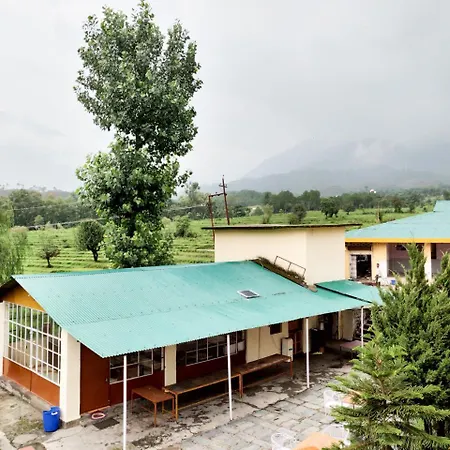 Pops Resort-3