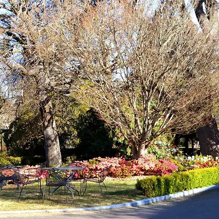 Nesuto Leura Gardens-3