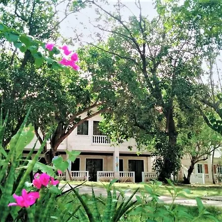 La Sirenita-2
