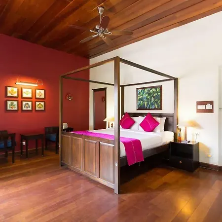Tea Bungalow-2