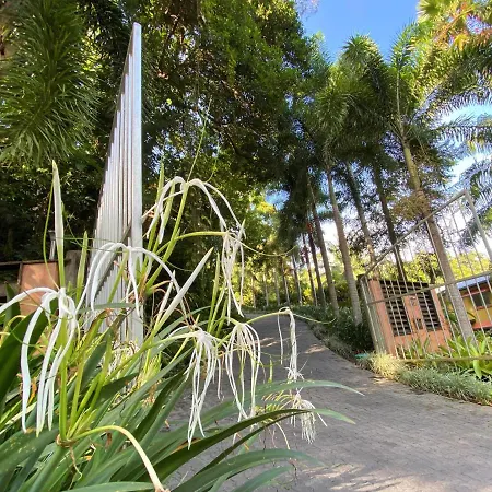 Cairns Rainforest Retreat-3