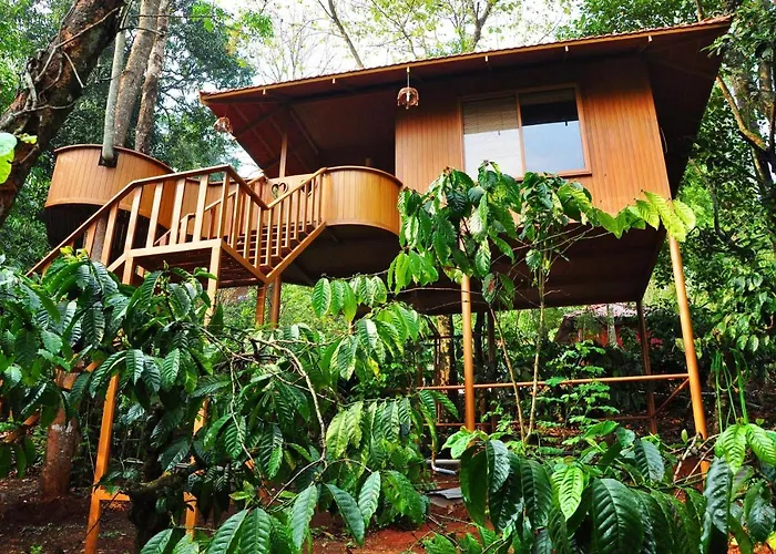 Planet Green Plantation Resorts, Wayanad, Kerala Kalpetta