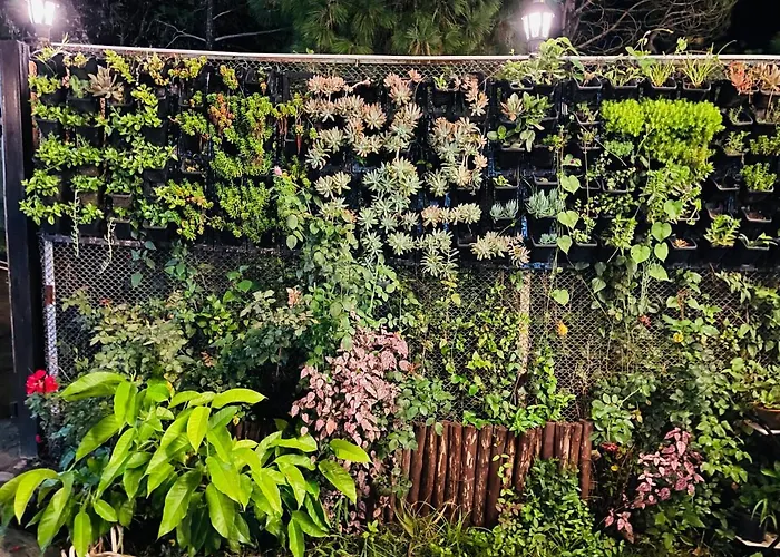 House Of Lights Hotel Solan