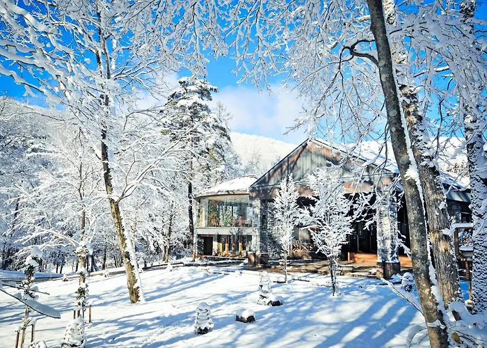 Hotel Sierra Resort Hakuba