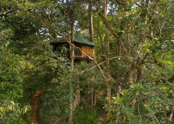 Ela Ecoland Nature Retreat Munnar