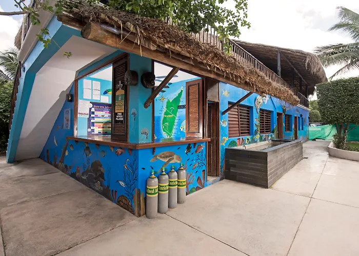 Iberostar Waves Cozumel Hotel