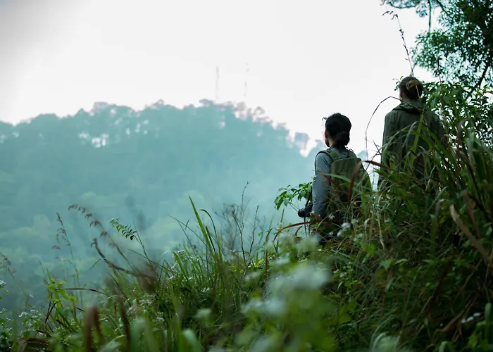 Wayanad Wild - A Cgh Earth Experience Hotel Vythiri