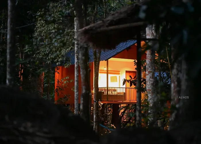 Blue Creek Hotel Meppādi